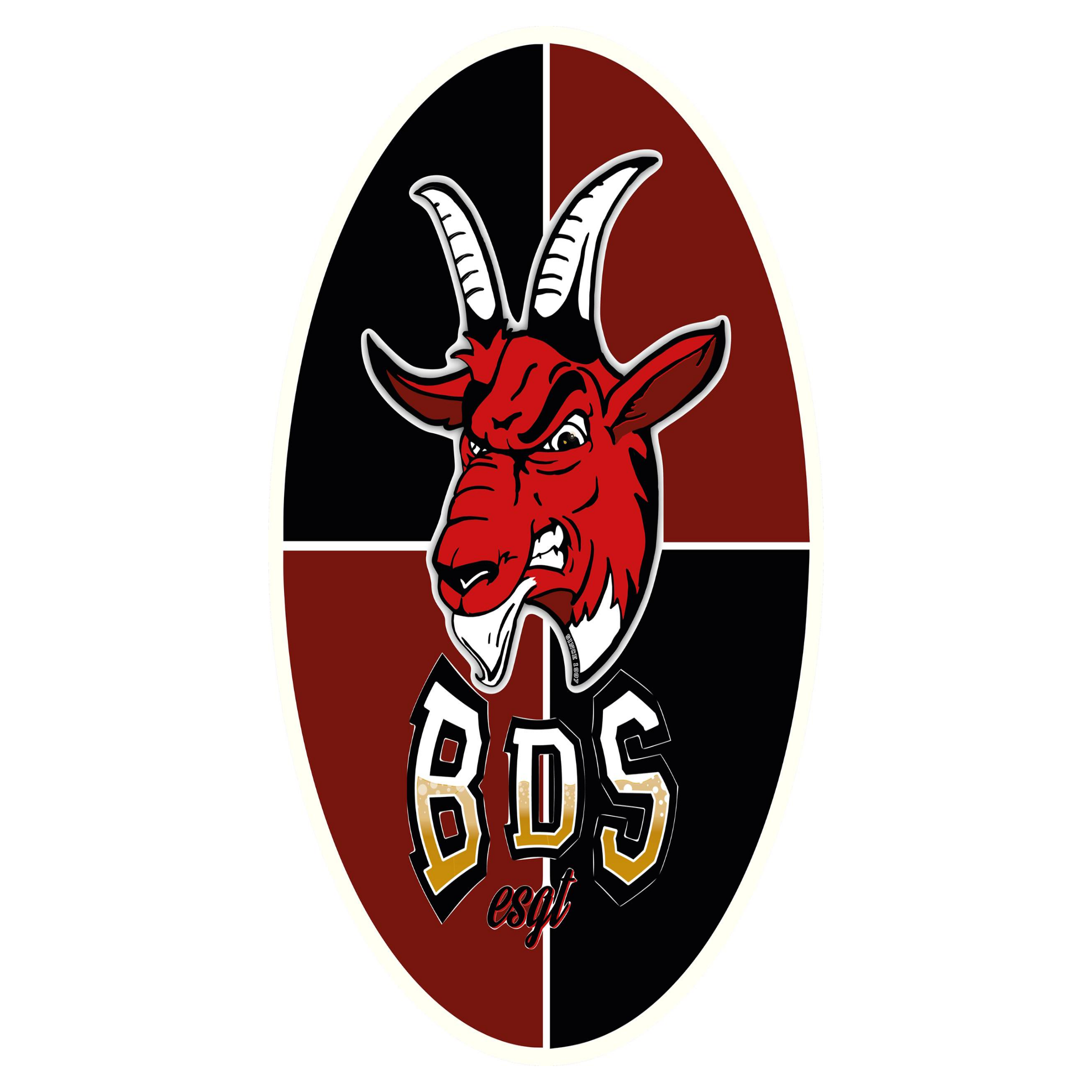 Logo BDS 