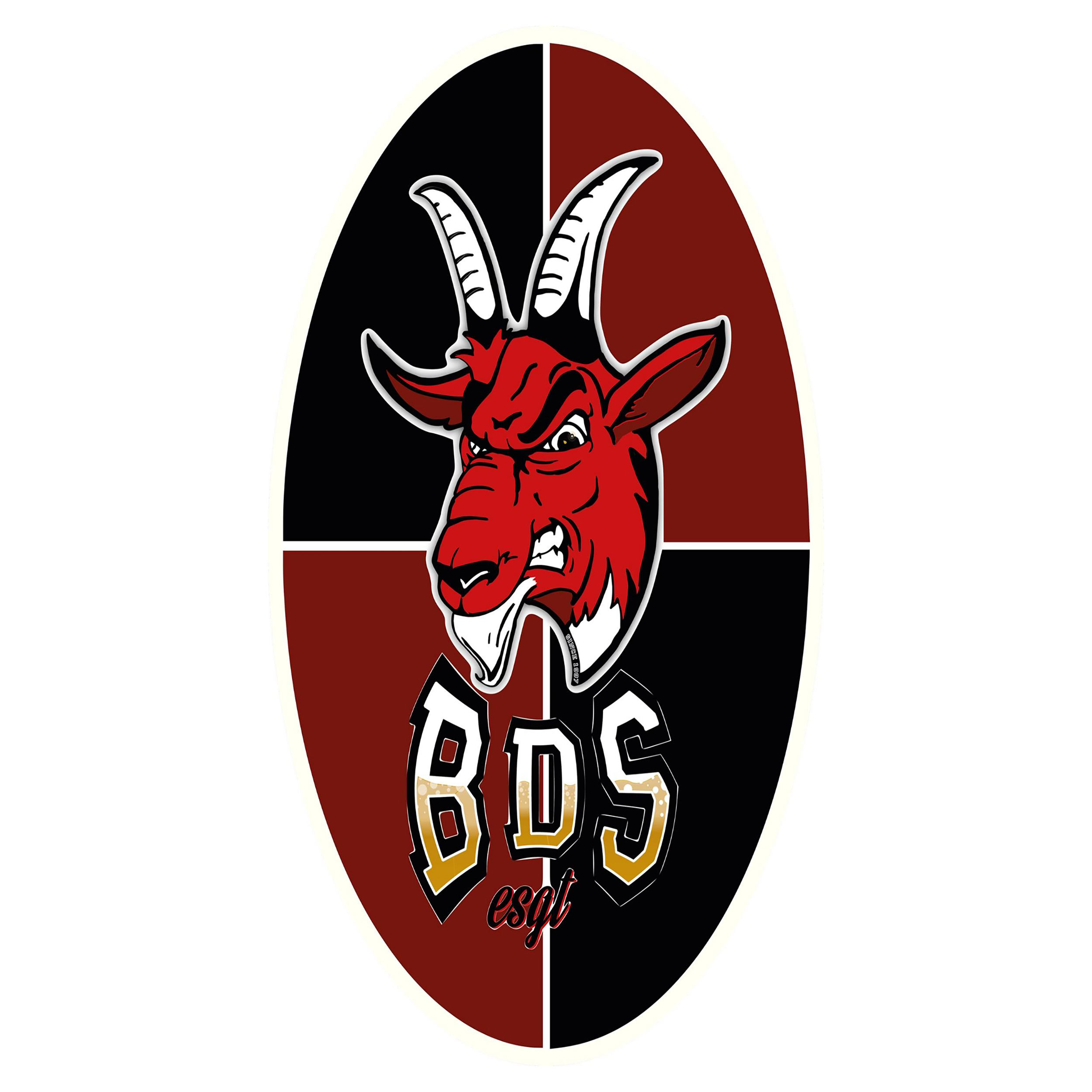 Logo BDS 